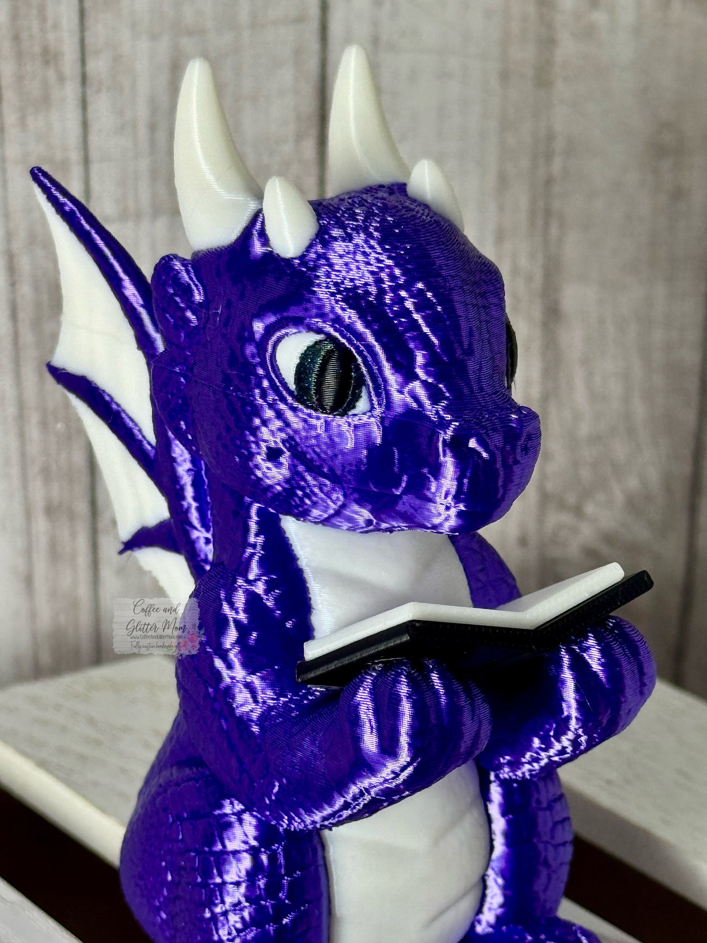 Reading Dragon Bookshelf Decor